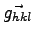 $\vec{g_{hkl}}$
