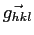 $\vec{g_{hkl}}$